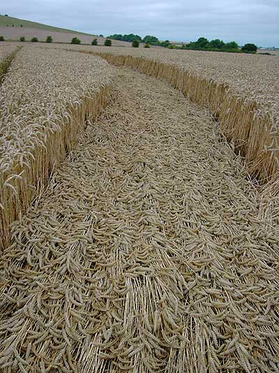 Burderop Down, Wiltshire crop circle, aerial photo 4
