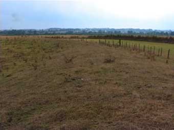 Thornborough Henge, Yorkshire crop circle, aerial photo 12