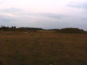 Thornborough Henge, Yorkshire crop circle, aerial photo 19