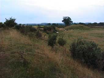 Thornborough Henge, Yorkshire crop circle, aerial photo 17