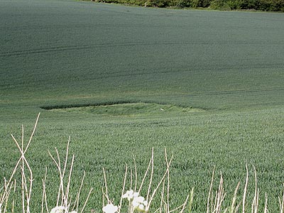 Camp Field (2), Wiltshire crop circle, aerial photo 7