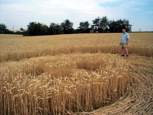 East Wick, Essex crop circle, aerial photo 3