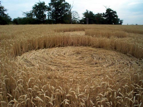 East Wick, Essex crop circle, aerial photo 4