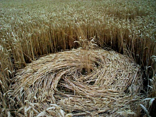 East Wick, Essex crop circle, aerial photo 5