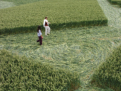 Woodway Bridge, Wiltshire crop circle, aerial photo 12