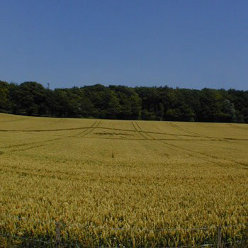 Dunley, Hampshire crop circle, aerial photo 3