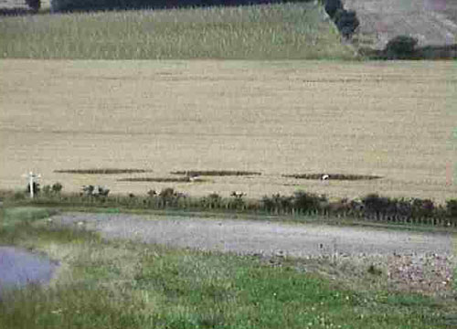 Lurkeley Hill, Wiltshire crop circle, aerial photo 3