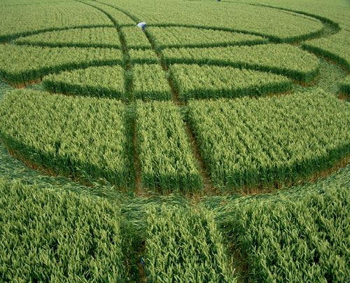 Marlborough, Wiltshire crop circle, aerial photo 5
