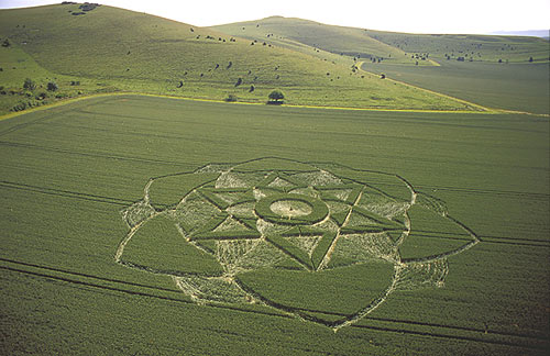 Milk Hill, Wiltshire crop circle, aerial photo 3