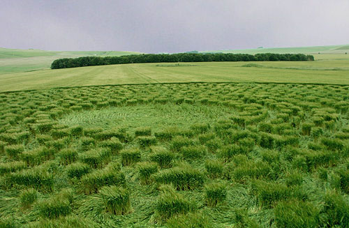North Down, Wiltshire crop circle, aerial photo 7