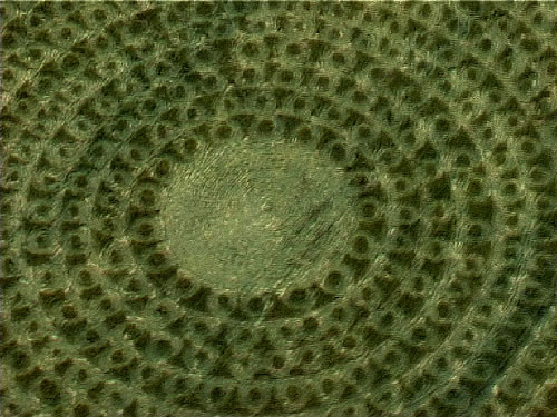 North Down, Wiltshire crop circle, aerial photo 3
