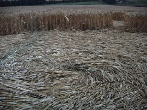 Scrope Wood, Wiltshire crop circle, aerial photo 10
