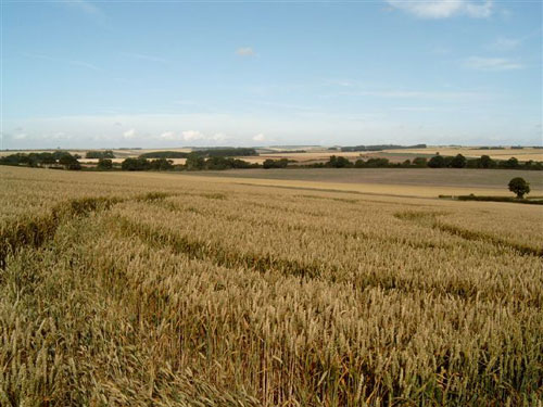 Rudston, East Yorkshire crop circle, aerial photo 3