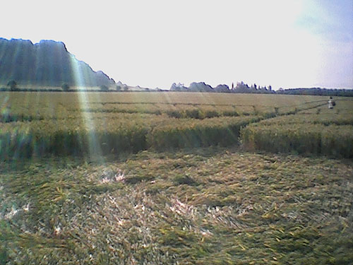 Sharpenhoe, Bedfordshire crop circle, aerial photo 6