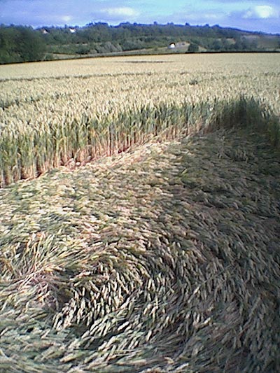 Sharpenhoe, Bedfordshire crop circle, aerial photo 7