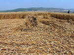 South Field, Wiltshire crop circle, aerial photo 7