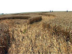 South Field, Wiltshire crop circle, aerial photo 8