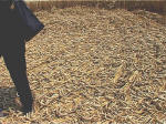 South Field, Wiltshire crop circle, aerial photo 13