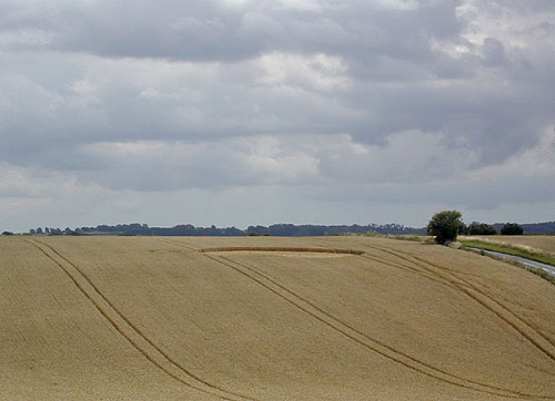 Stephen's Castle Down, Hampshire crop circle, aerial photo 2
