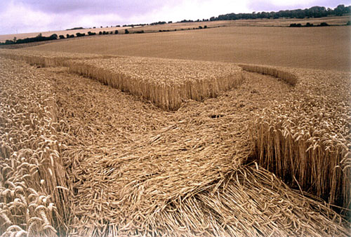 Tegdown Hill, Sussex crop circle, aerial photo 5