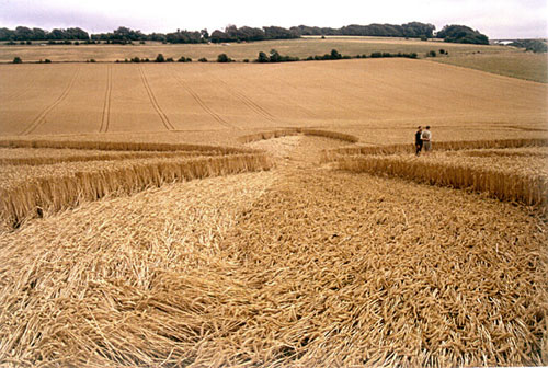 Tegdown Hill, Sussex crop circle, aerial photo 6
