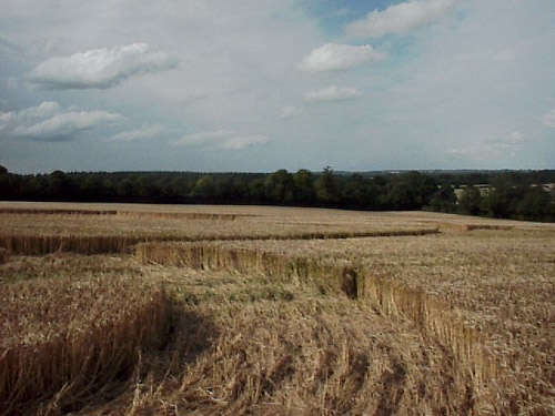 Weyhill, Hampshire crop circle, aerial photo 3