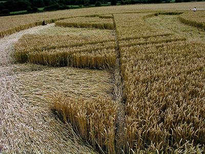 Woodborough Hill, Wiltshire crop circle, aerial photo 6