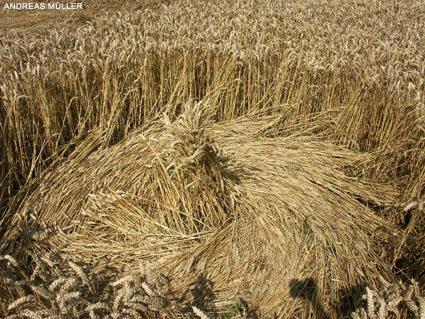 Blacklands Golf Course, Wiltshire crop circle, aerial photo 10