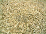 Brampton, Norfolk crop circle, aerial photo 3