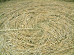 Brampton, Norfolk crop circle, aerial photo 4