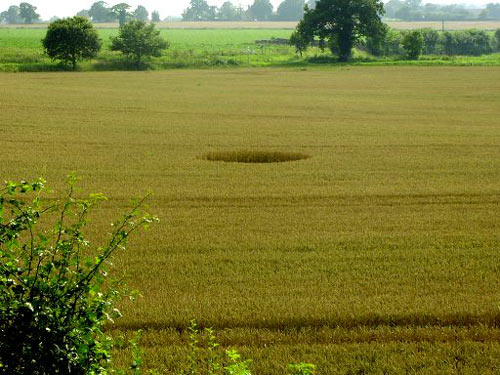 Brampton, Norfolk crop circle, aerial photo 7