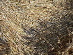Etchilhampton Hill, Wiltshire crop circle, aerial photo 17