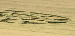 Etchilhampton Hill, Wiltshire crop circle, aerial photo 7