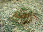 Etchilhampton Hill, Wiltshire crop circle, aerial photo 11