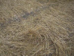 Etchilhampton Hill (2), Wiltshire crop circle, aerial photo 15