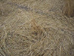 Etchilhampton Hill (2), Wiltshire crop circle, aerial photo 14