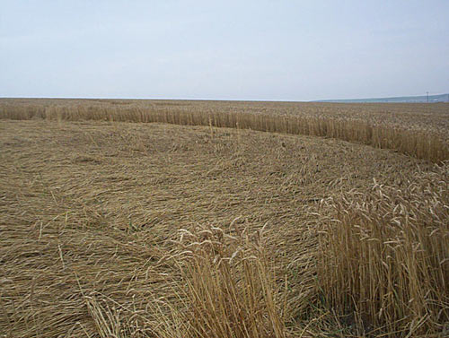 Etchilhampton Hill (2), Wiltshire crop circle, aerial photo 6