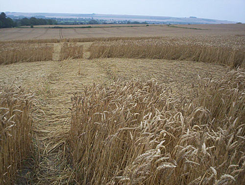 Etchilhampton Hill (2), Wiltshire crop circle, aerial photo 7