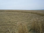 Etchilhampton Hill (2), Wiltshire crop circle, aerial photo 13