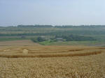 Nashenden Farm, Kent crop circle, aerial photo 25