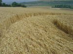 Nashenden Farm, Kent crop circle, aerial photo 24