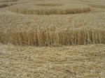 Nashenden Farm, Kent crop circle, aerial photo 21