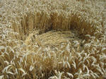 Nashenden Farm, Kent crop circle, aerial photo 20