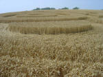 Nashenden Farm, Kent crop circle, aerial photo 18
