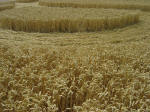 Nashenden Farm, Kent crop circle, aerial photo 17