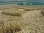 Nashenden Farm, Kent crop circle, aerial photo 16