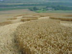 Nashenden Farm, Kent crop circle, aerial photo 15