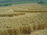 Nashenden Farm, Kent crop circle, aerial photo 11