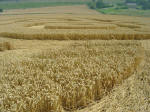 Nashenden Farm, Kent crop circle, aerial photo 8