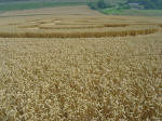 Nashenden Farm, Kent crop circle, aerial photo 7